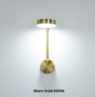 Rotating Wall Light – Directional LED Metal Sconce with Warm Ambient Lighting