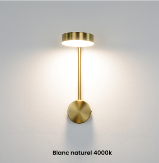 Rotating Wall Light – Directional LED Metal Sconce with Warm Ambient Lighting