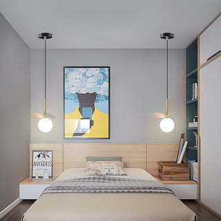 Lámpara Colgante de Cristal – Moderna con Globo Esmerilado y Cable Ajustable | Estilo Bauhaus