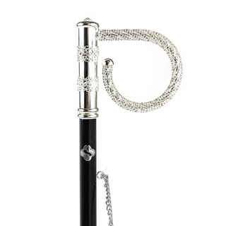 silver-plated brass gift box 53cm long handle handmade Italian luxury shoehorn close-up