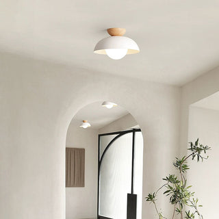 Metal glass ceiling light semi-flush mount – hallway living room