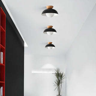 Eco-Friendly Metal Ceiling Light - Minimalist Modern Semi-Flush Mount Lamp