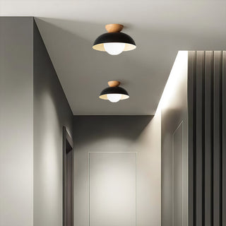 Eco-Friendly Metal Ceiling Light - Minimalist Modern Semi-Flush Mount Lamp