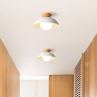 Eco-Friendly Metal Ceiling Light - Minimalist Modern Semi-Flush Mount Lamp