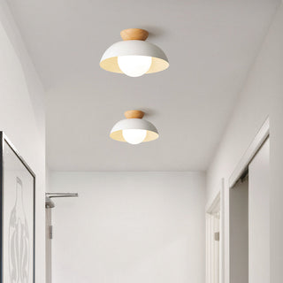 Metal frame glass ceiling lamp – semi-flush mount, living room