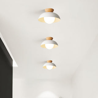 Eco-Friendly Metal Ceiling Light - Minimalist Modern Semi-Flush Mount Lamp