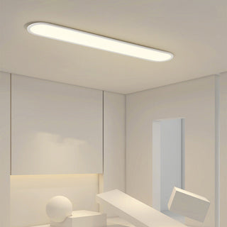 Strip ceiling light with adjustable hanging length, contemporary