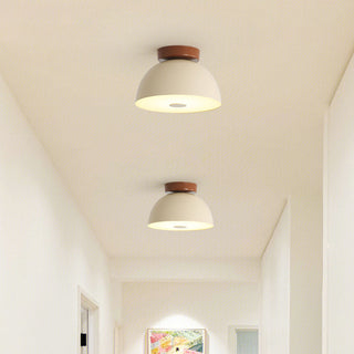 Retro Iron Ceiling Lamp - Cream Aisle Light With Adjustable Color Temperature