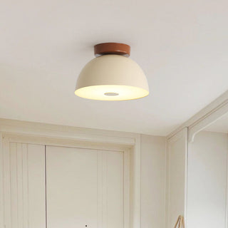 Retro Iron Ceiling Lamp - Cream Aisle Light With Adjustable Color Temperature