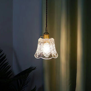 Vintage mini pendant lamp detail — clear glass adjustable ceiling