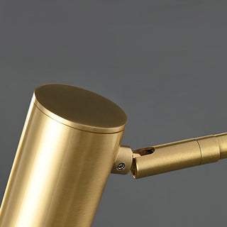 Gold finish Nordic brass adjustable LED wall lamp close-up