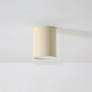LED mini column ceiling fixture in dining room, wood finish