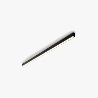 Acrylic LED Ceiling Light - Simple Flush Mount Living Room Lighting Fixture