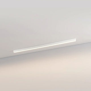 Acrylic LED Ceiling Light - Simple Flush Mount Living Room Lighting Fixture
