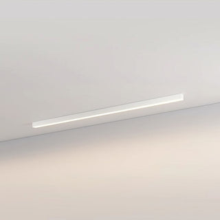 Acrylic LED Ceiling Light - Simple Flush Mount Living Room Lighting Fixture