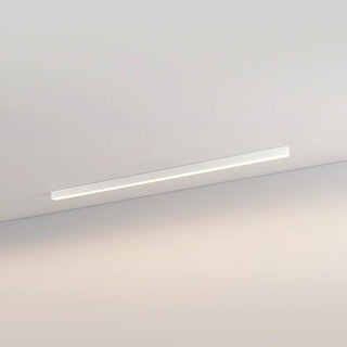 Acrylic LED Ceiling Light - Simple Flush Mount Living Room Lighting Fixture