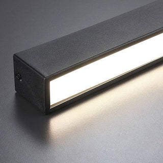 Acrylic LED Ceiling Light - Simple Flush Mount Living Room Lighting Fixture