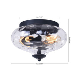 Iron frame 2-light farmhouse ceiling lamp – glass shade