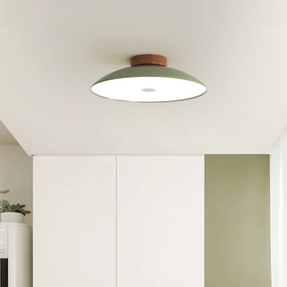 Retro cream ceiling lamp illuminated, iron adjustable color