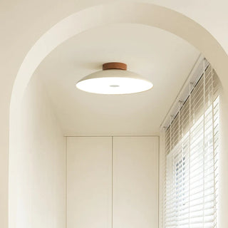 Adjustable color temperature ceiling lamp, retro cream iron