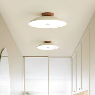 Retro iron aisle ceiling fixture, cream adjustable color light