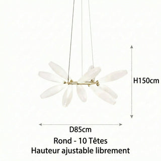 LED Pendant Light – Nordic Design Glass Pendant Lamp with Metal Frame for Dining Room