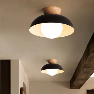 Eco-Friendly Metal Ceiling Light - Minimalist Modern Semi-Flush Mount Lamp