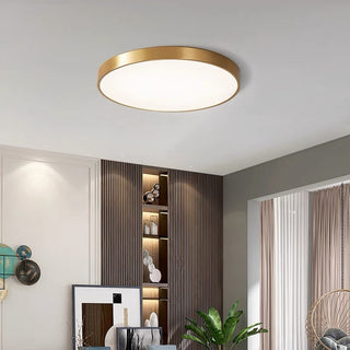 Flush mount round LED ceiling fixture in dining room, modern