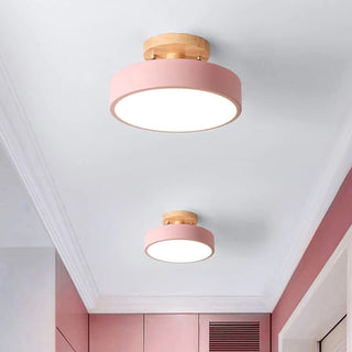Wood finish LED ceiling light, contemporary ceiling lamp