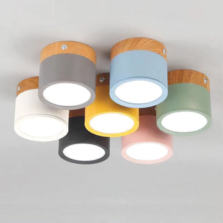 Mini Cylinder Ceiling Light - Aluminum Modern Flush Mount LED Fixture
