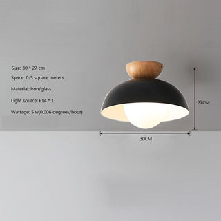 Modern pendant with creative iron and wood construction