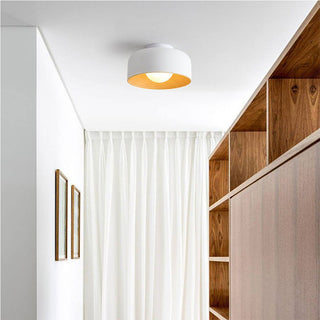 Bowl shaped metal ceiling light, minimalist sleek modern fixture