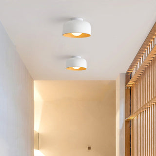 Sleek bowl-shaped minimalist ceiling light, metal modern lamp