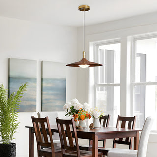Iron acrylic UFO pendant detail — modern LED ceiling fixture
