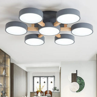 Acrylic Ceiling Light – Modern Multi-Head Fixture with Diffused Acrylic Heads