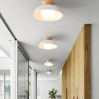 Eco-Friendly Metal Ceiling Light - Minimalist Modern Semi-Flush Mount Lamp
