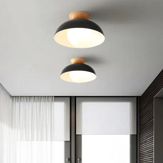 Eco-Friendly Metal Ceiling Light - Minimalist Modern Semi-Flush Mount Lamp