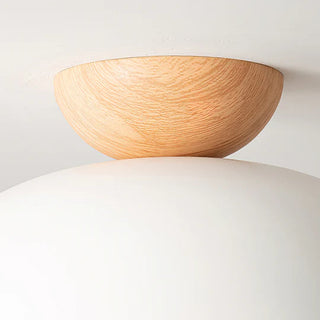 Eco-Friendly Metal Ceiling Light - Minimalist Modern Semi-Flush Mount Lamp