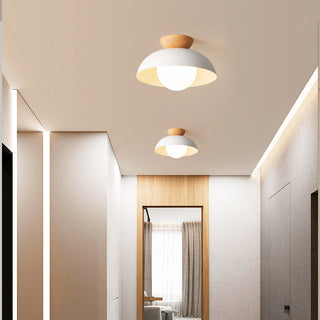 Minimalist metal eco-friendly ceiling fixture, modern design