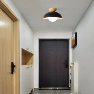 Eco-Friendly Metal Ceiling Light - Minimalist Modern Semi-Flush Mount Lamp