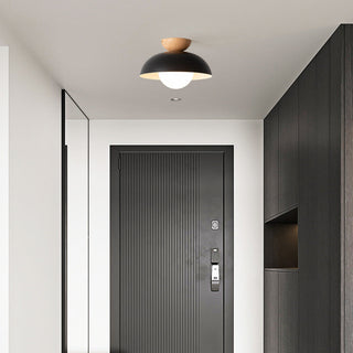 Eco-Friendly Metal Ceiling Light - Minimalist Modern Semi-Flush Mount Lamp