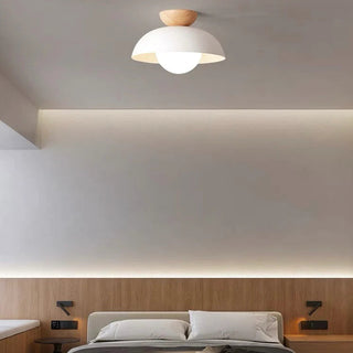 Modern eco-friendly ceiling lamp, metal minimalist semi-flush