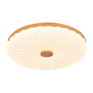 Energy efficient white round acrylic ceiling fixture, vintage style