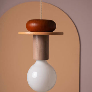 Wood pendant detail — colored modern adjustable ceiling fixture