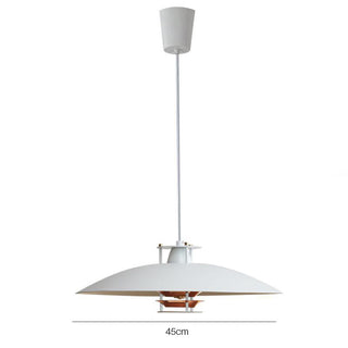Small iron pendant lamp detail — minimalist kitchen ceiling fixture
