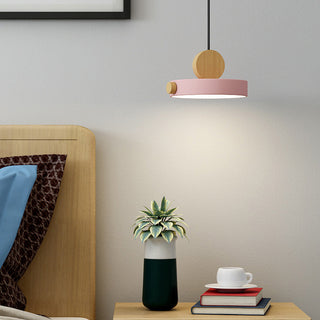 Macaroon pendant close-up — pastel color adjustable hanging lamp