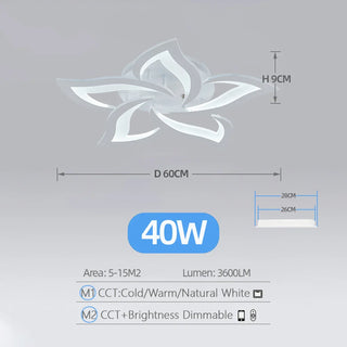 Acrylic Ceiling Light – Modern Dimmable Surface Mount Fixture for Living Room Lighting