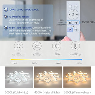 Acrylic Ceiling Light – Modern Dimmable Surface Mount Fixture for Living Room Lighting