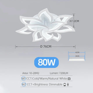Acrylic Ceiling Light – Modern Dimmable Surface Mount Fixture for Living Room Lighting