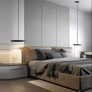 Disc-Shaped Pendant Lamp – Adjustable Hanging Lamp with Acrylic Lampshade Light
